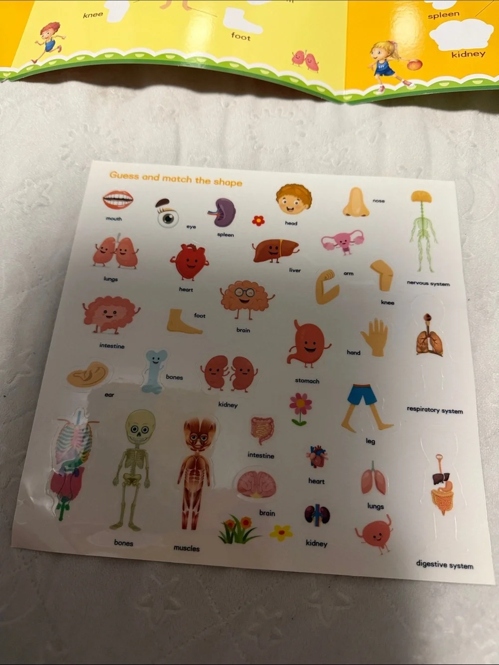My Body! Kids Educational Sticker Book - Orange